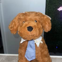 Brown plush dog wearing a blue tie and white collar