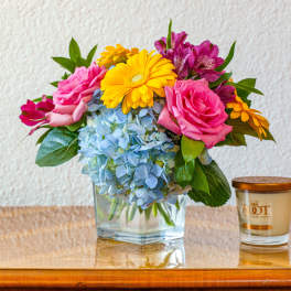 Summer Sunshine