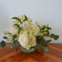 Enduring Elegance