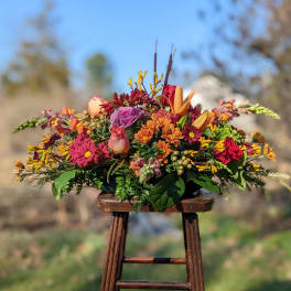 Magnificent Autumn