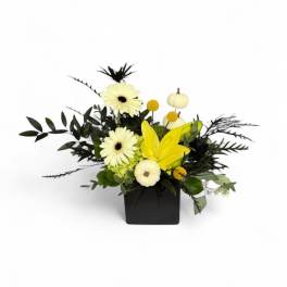 Yellow gerbera daisies and lilies in a black square vase with small pumpkins