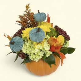 Fall floral arrangement in a pumpkin container with yellow blooms and blue pumpkins