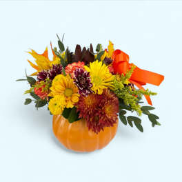 Fall bouquet in a pumpkin container with yellow and burgundy flowers