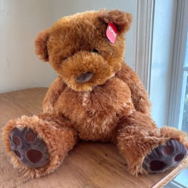 Brown plush teddy bear sitting on a wooden surface