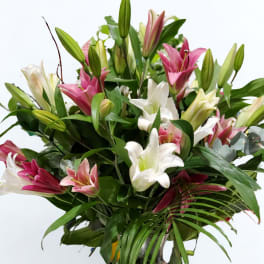 Bouquet of pink and white lilies in a glass vase