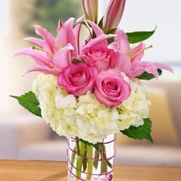 Happy Thoughts Pink Dream