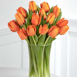 Orange tulips arranged in a clear glass vase