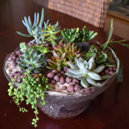 Succulent arrangement in a clear glass bowl with trailing bead-like plant