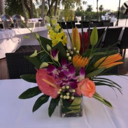 Tropical flower arrangement in a clear square vase on a table