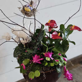 Potted floral arrangement with red anthuriums, pink blooms, and white flowers