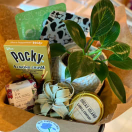 Gift box with a potted plant, candy, and a candle