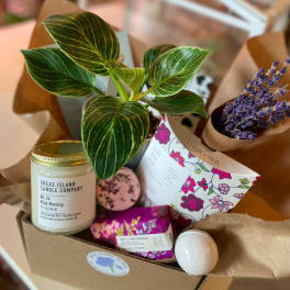 Gift box with a potted plant, candle, soap, and dried purple flowers