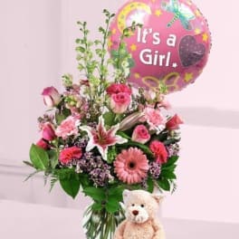 Baby Girl Surprise