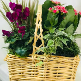 Basket of potted flowering plants with purple and pink blooms