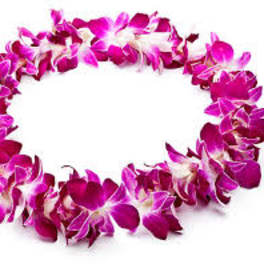 ORCHID LEI
