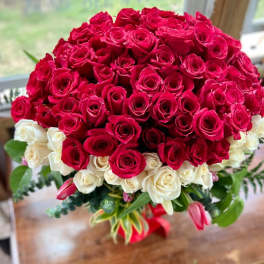 Large bouquet of red and white roses with a few pink tulips and foliage in a vase