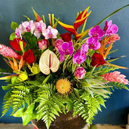 Large tropical arrangement with orchids, roses, anthurium, protea and birds of paradise in a dark pot
