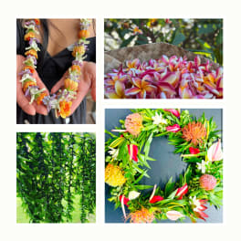 Collage of tropical floral lei, plumeria blossoms in a basket, hanging greenery, and a protea wreath.