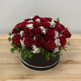 Red roses arranged in a round black box with white filler flowers