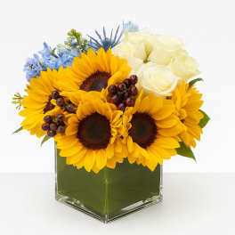 Sunflowers and white roses in a square glass vase