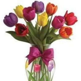 Colorful tulips in a clear glass vase with a pink bow