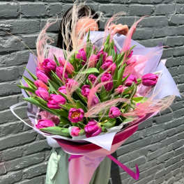 Bouquet of bright pink tulips wrapped in pastel paper