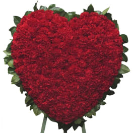 Heart-shaped arrangement of red carnations with green edging