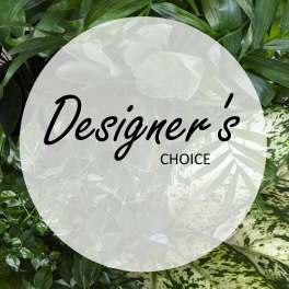 Green foliage with a translucent circle reading "Designer’s Choice"