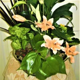 Tall floral arrangement with peach lilies and large green leaves