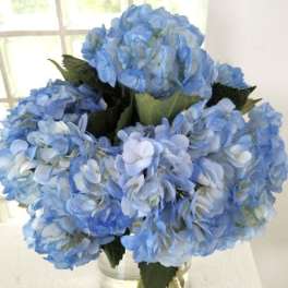 Blue hydrangea bouquet in a clear glass vase
