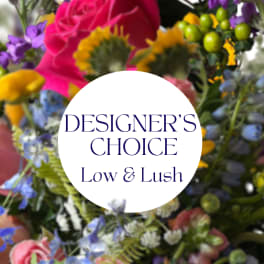 Designer's Choice Low & Lush