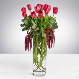 Tall glass vase of bright pink tulips with trailing burgundy blooms