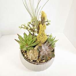 Succulent arrangement in a ribbed silver bowl with tall grass-like stems