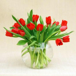 Red tulips arranged in a clear glass vase