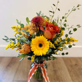 Fall Favorites