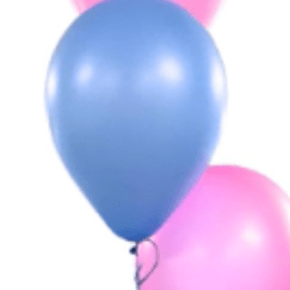 Blue and pink balloons on a white background