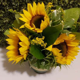 Bouquet of yellow sunflowers with green foliage in a vase