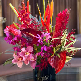Tropical flower arrangement in a black vase with pink and red blooms