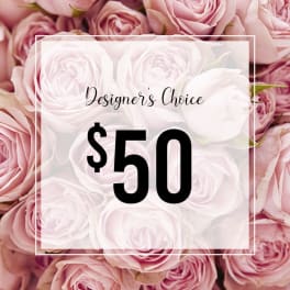 Designer's Choice- $50