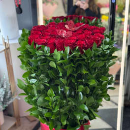 Long Red Roses in a Box. The photo shows the deluxe size.