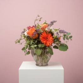 Bowl Of Beauty