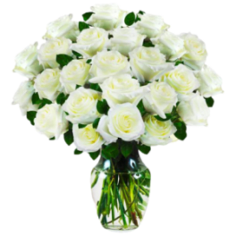 PURITY