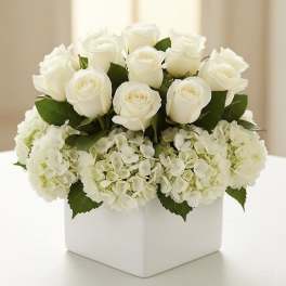 White roses and hydrangeas arranged in a white square vase