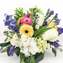 Colorful mixed flower arrangement with gerbera daisies and white roses in a square glass vase