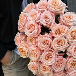 Large bouquet of pale pink roses held by a person