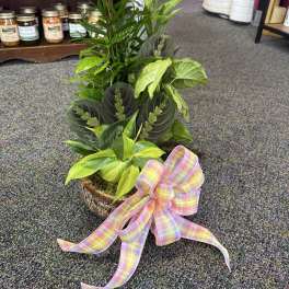 Mixed potted foliage plants in a rustic bowl with a large pastel plaid bow.