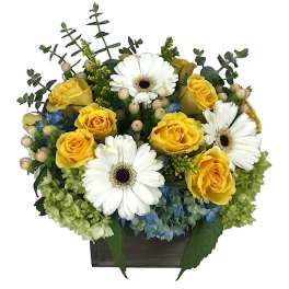 Yellow roses and white gerbera daisies in a wooden box