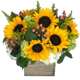 Sunflower arrangement in a wooden box with pink berries