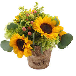 Sunflower arrangement in a rustic bark-covered pot