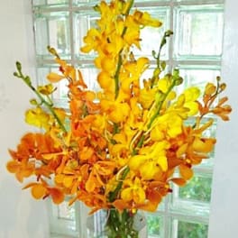 Orange and yellow orchid arrangement in a clear vase